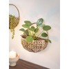 Dekoleidenschaft Water Hyacinth Wall Planter Natural Indoor Wall Planter Basket