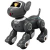 PRANITE Robot Dog, Remote-Controlled Robot Dog for Kids with Follow