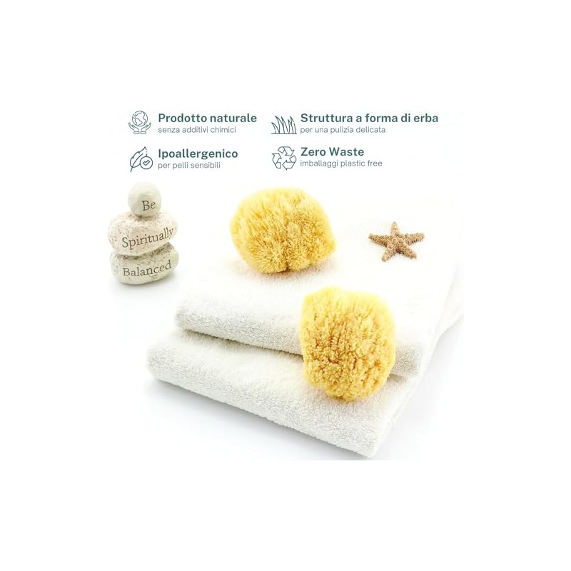 Natürlicher mediterraner Schwamm für den Körper, nicht synthetisch (16-18 cm