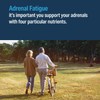Advanced Bionutritionals Advanced Adrenal Factor – Adrenal Support Supplement –