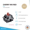 Cherry MX Key Switches for Mechanical Gaming Keyboards | Plate