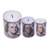 3-Pack $100 Bill Print Piggy Bank – Tall Metal Coin