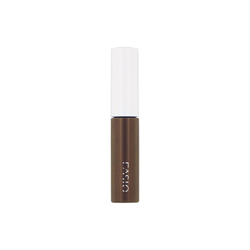 FASIO(ファシオ) チップトリック パウダー アイブロウ ブラウン BR300 1.5g