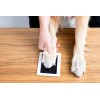 Clean-Touch Ink Pad kit Footprints Of Pets ink Cat Paw