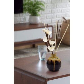 jecengs Natural Reed Diffuser Sticks add 2 Pcs 13inch Sola Flowers 10 Inch Natural Rattan Wood Sticks Aromatherapy Sticks Replacements Stick White 50 Pcs and Brown 50 pcs