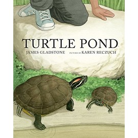 Turtle Pond