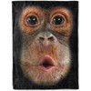 ainori Monkey Face Flannel Blanket - Cute Fun Animal with