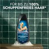 Schauma Anti-dandruff shampoo intensive (400 ml), hair shampoo fights strong