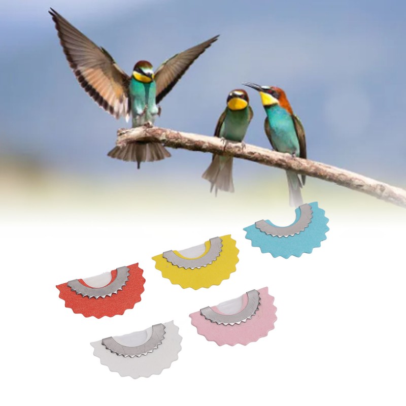 Bird Whistle 5 Colors Bird Caller Tongue Whistle Funny Tweeting