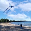 Kaiciuss Butterfly Kite for Kids & Adults, Single Line Beach