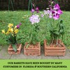DESQUIGGLE Set of 3 Strong Wooden Orchid Baskets with Hangers,