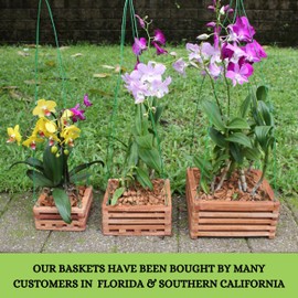 DESQUIGGLE Set of 3 Strong Wooden Orchid Baskets with Hangers, Vanda Baskets for Outside