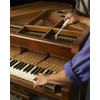 10 Pcs Professional Piano Tuning Kit Piano Tuner Hammer Mute