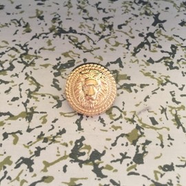 ftiemlovde 15 Novelty Brass Gold Buttons for Blazer ，Vintage Large Buttons Metal for Sewing Cardigan，Antique Decorative Pant Button for Crafting，Sparkly Jacket Button Women（C15 20 mm）