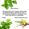 Kal Citrato de Calcio 1000mg Suplemento Nutricional 120 Cápsulas