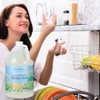 Ginger Lily Farms Botanicals Plant-Based 4-In-1 Dishwasher Rinse Aid, 100%
