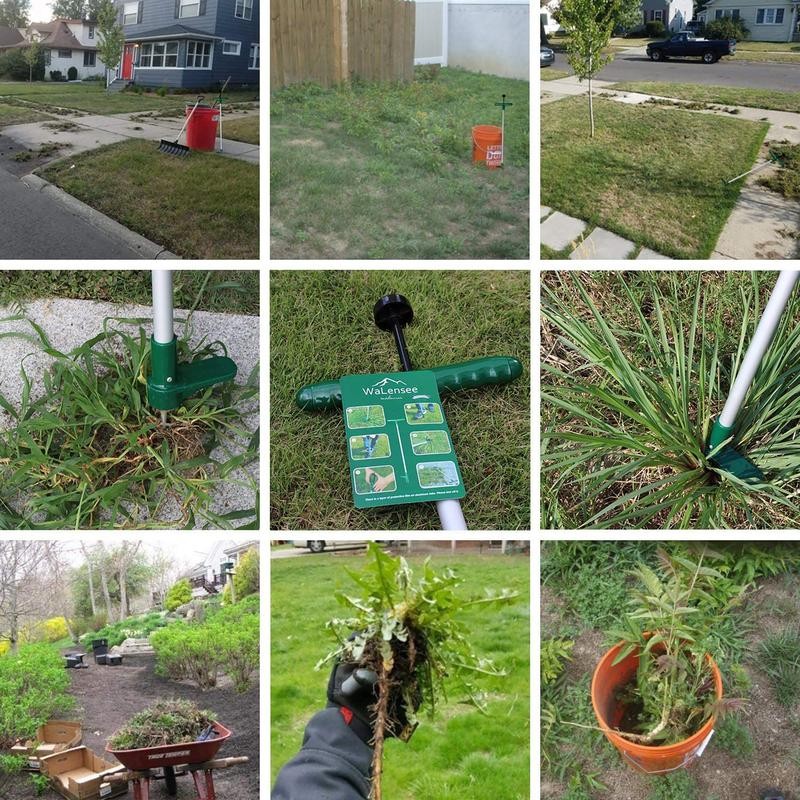 Walensee Weeder Tool, Stand Up Weeder Puller Tool, Long Handle