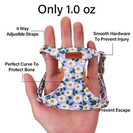 CHEDE No Pull Floral Pattern Dog Harness- Lightweight and Soft Dog Harness, Adjustable Small Dog Harness and Leash Set, with Dog Leash, Suitable for Puppy Small and Medium-Sized Dog