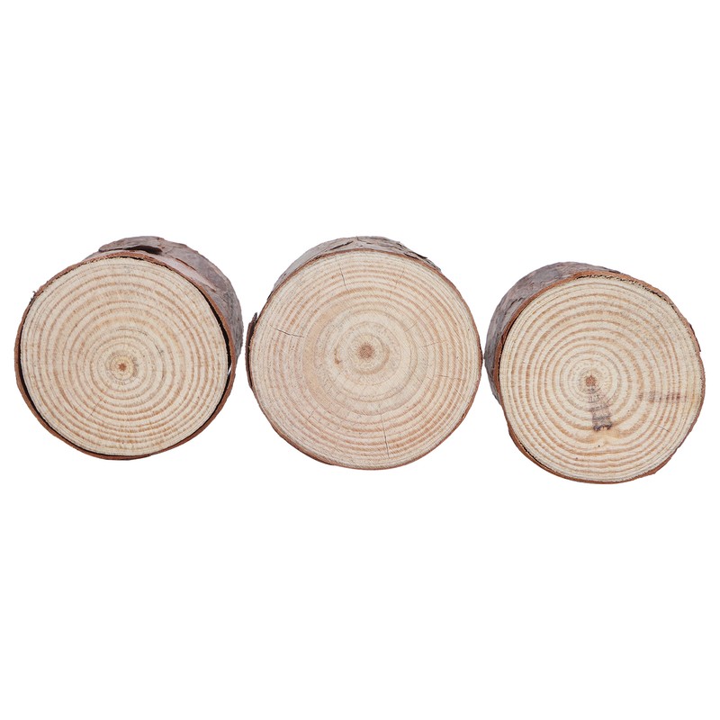 Wood Stakes Cylindrical Pine Log DIY Painting Material Flower Pot