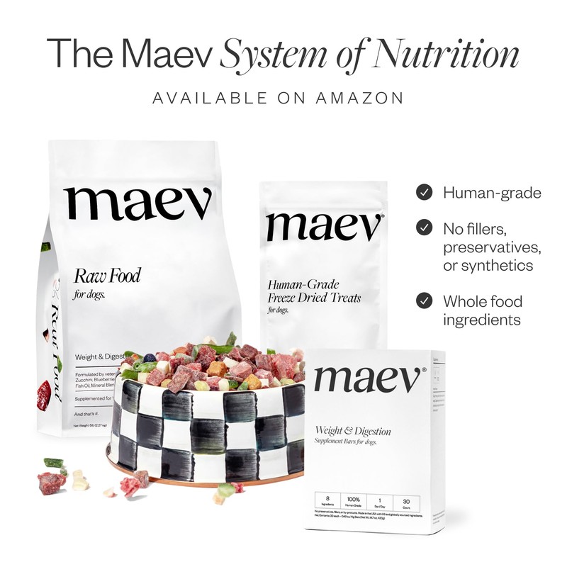Maev MAEV Human-Grade Hip & Joint Supplement Bars | Natural