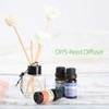 Phatoil Aroma Oil, 6 Types Trial Set, Essential Oil Set,