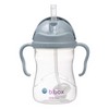 B.Box Sippy Cup - 240mL Ocean