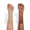 Shiseido Synchro Skin Self Refreshing Dual Tip Concealer #203 5,8