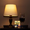 Sparkle Plenty Sponge Lamp Shade Cleaner - Sheer Fabric Cleaner-
