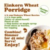 Food to Live - Organic Einkorn Wheat Berries, 10 Pounds