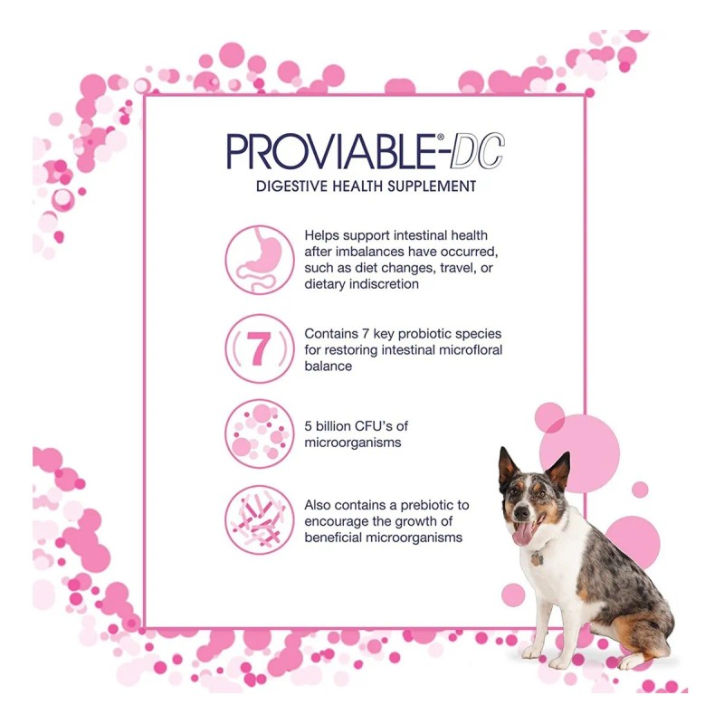 Nutramax Proviable Health Supplement For Cats And Dogs