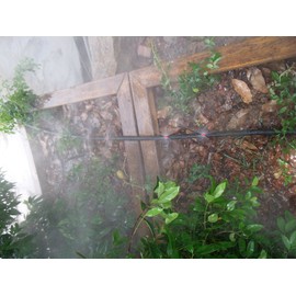 SUCOHANS 1000 Pcs 360 Degree Micro Sprayer Fan Jet Hydroponic Aeroponic Misters Cloners - 360 Sprayer Red (1000)