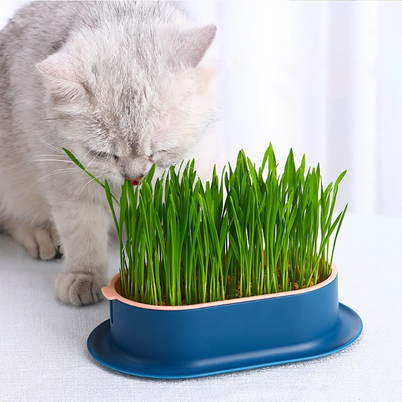 YUMINGUHC 2Pcs Cat Grass Planter (No Seeds Included) Wheatgrass Planting
