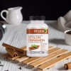 Renew Actives Organic Ceylon Cinnamon 1200mg Dietary Supplement - 60