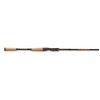 Guide Gear Core Angler Rod & Daiwa Exceler LT Spinning
