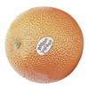 Shaker Fruit Rhythm Tech (RT2053) Naranja