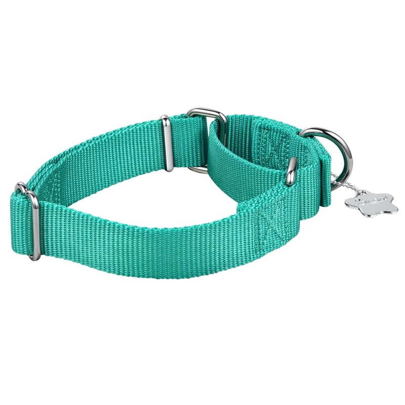 Dazzber Martingale Collars for Dogs Adjustable Durable Dog Collar Solid
