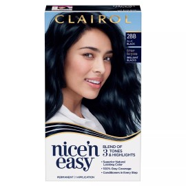Clairol Nice'n Easy Permanent Hair Dye Color Cream, 1BB Blue Black