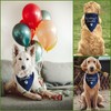 Wedding Crasher Dog Bandana Dog Wedding Bandana Dog Engagement Bandana