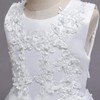 Flower Girls Lace Long Princess Embroidery Poofy Dress for Kids