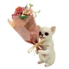 Maruwa Boeki CT Mignon Bouquet Chihuahua 420867313, Approx. 3.1 x