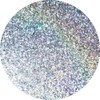 Glitter Grout Additive - No Size - 100G (Silver Holographic)