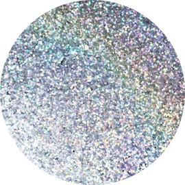 Glitter Grout Additive - No Size - 100G (Silver Holographic)