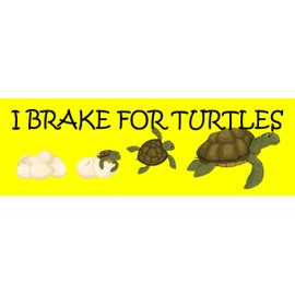 I Brake For Turtles Bumper Sticker Funny Stop for Turtles Critters Animals Sticker Decal