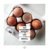 Proteinvital Whole Egg Powder Egg Regional Austrian Open Range Eggs