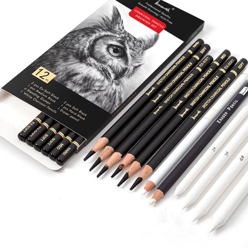 Brusarth Charcoal Drawing Set -12 pc Black charcoal pencils, White