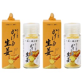 Ureshino Labo Ginger 0.5 oz (13 g) x 2 Bottles