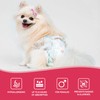 Dog´s Care – Disposable Hygienic Diaper for Female Dogs –