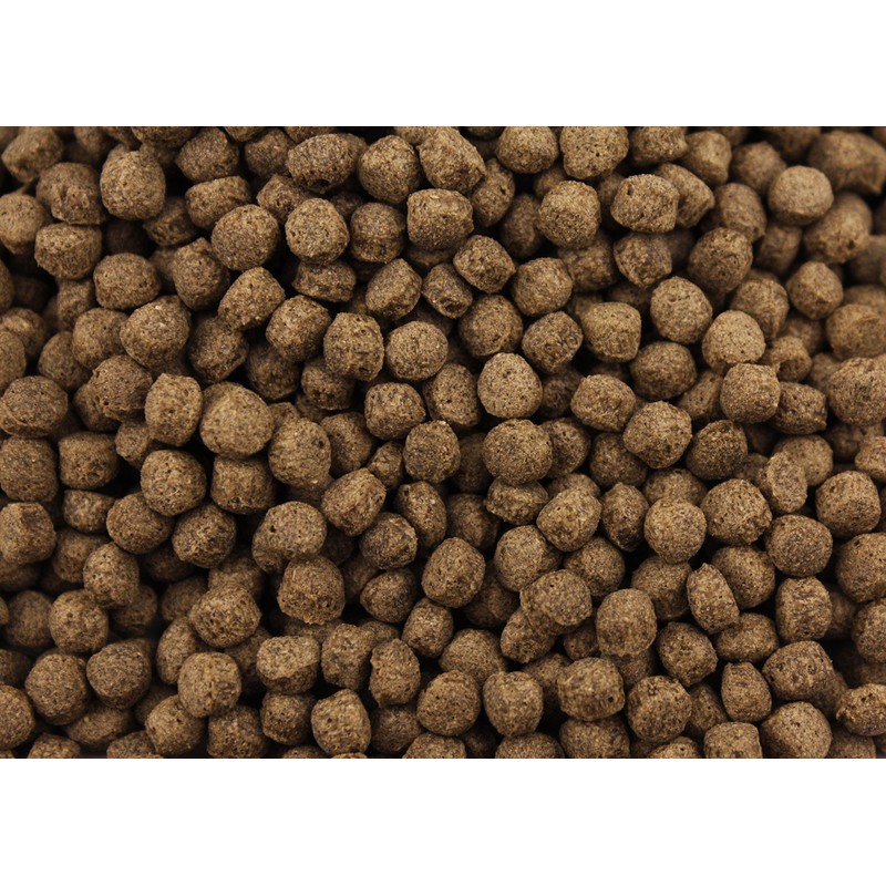 Pisces Pros Turtle Bites (4.96 oz)