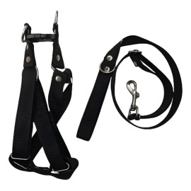Pechera Con Correa Y Collar Para Perro Chico A Mediano 3 Pzs