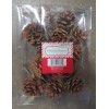 Unbranded 12 Pinecone Ornaments. With hanging rope Christmas Trees, Holiday
